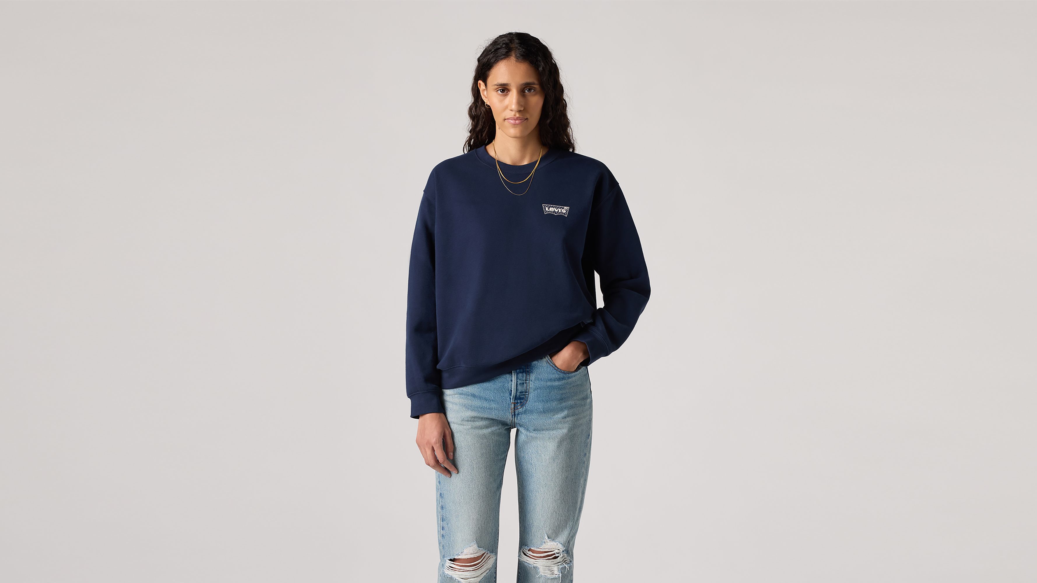 Graphic Everyday Crewneck Sweatshirt - Blue | Levi's® GB