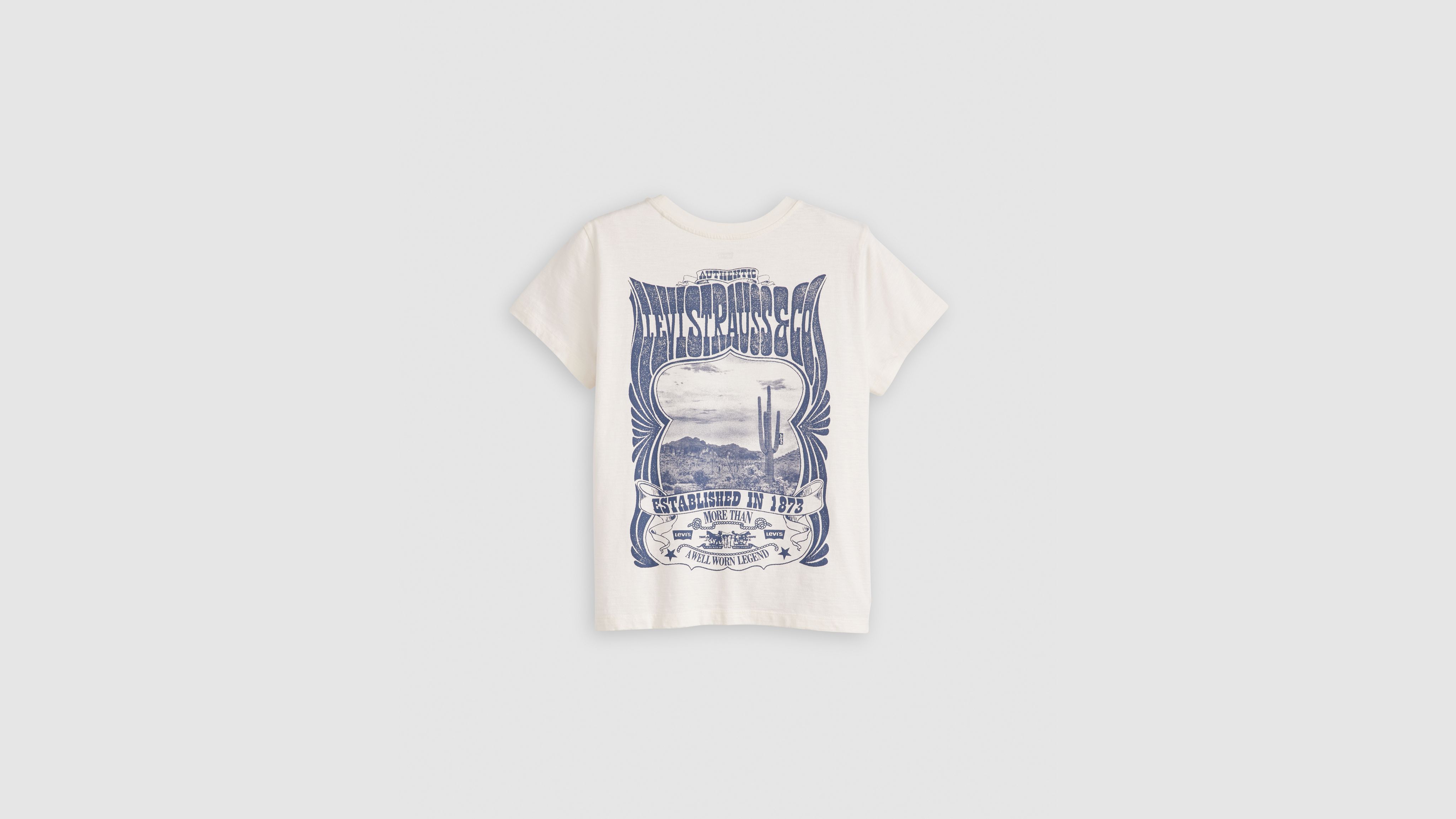 Graphic Boxy T-shirt - White | Levi's® US