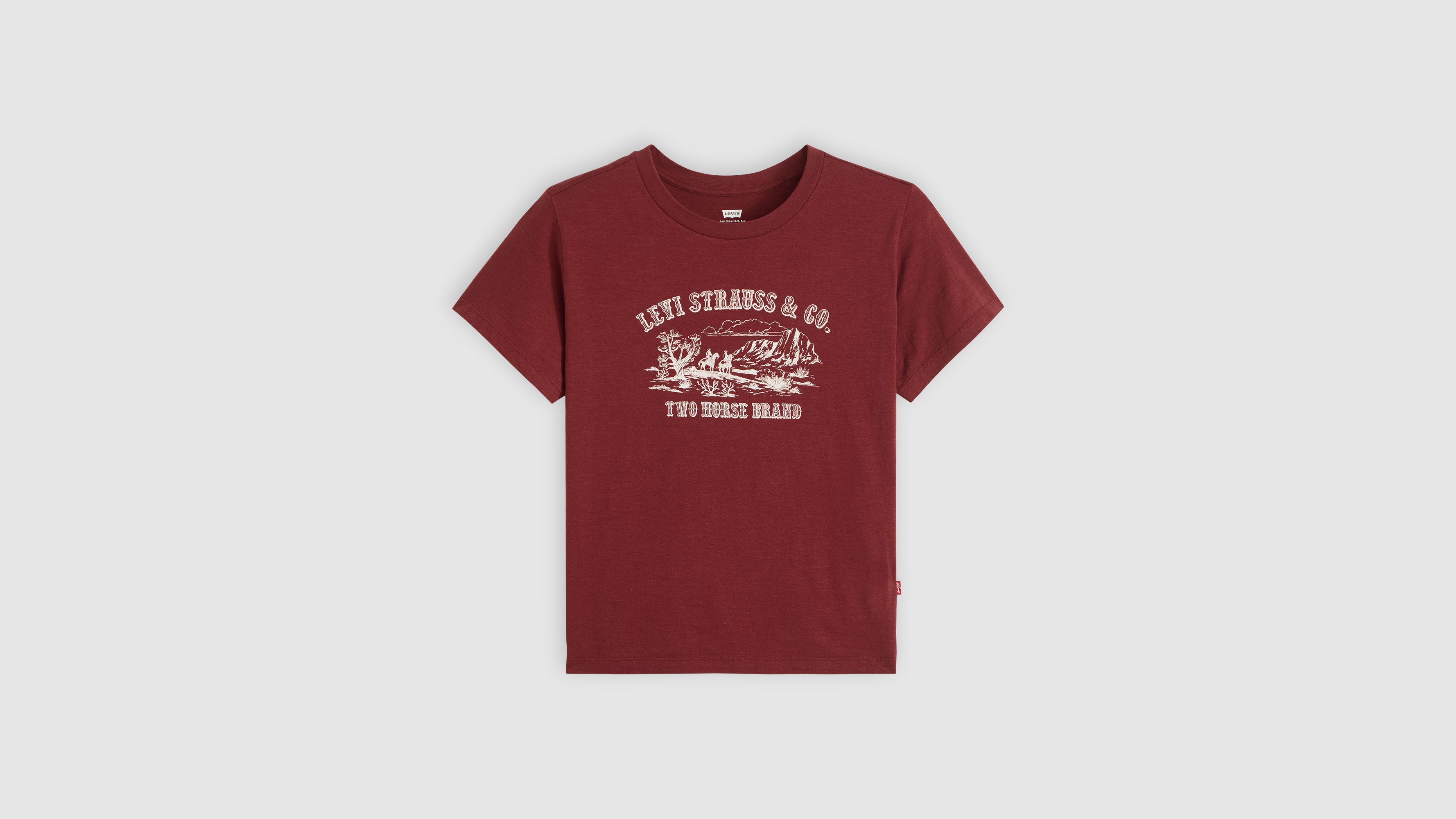 Graphic Boxy T-Shirt