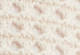 White Swan - Cream - Superbloom Crochet top met lange mouwen