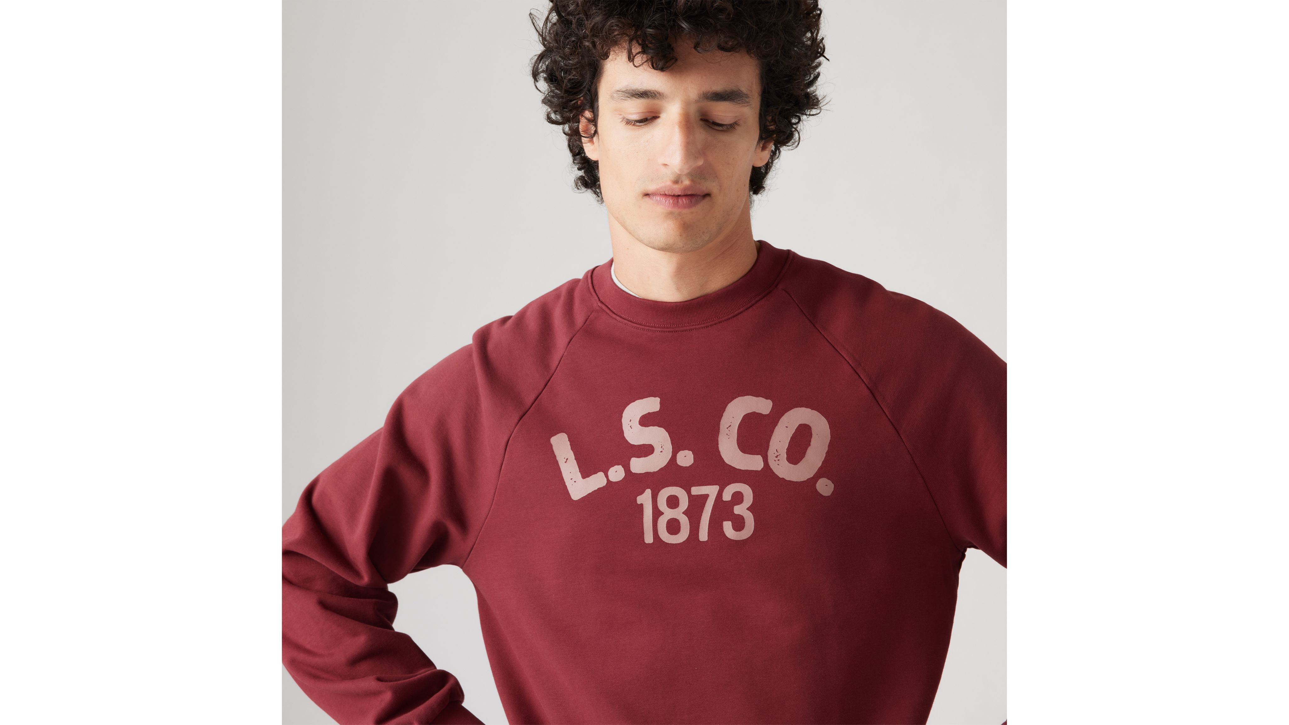 THE FABRIC THES RAGLAN T/C SWEAT Lサイズ THE UNION / THES RAGLAN T/C SWEAT (BROWN, LIGHT PURPLE, RED
