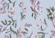 Tapestry - Multi-Color - Delaney Short Sleeve Mini Dress