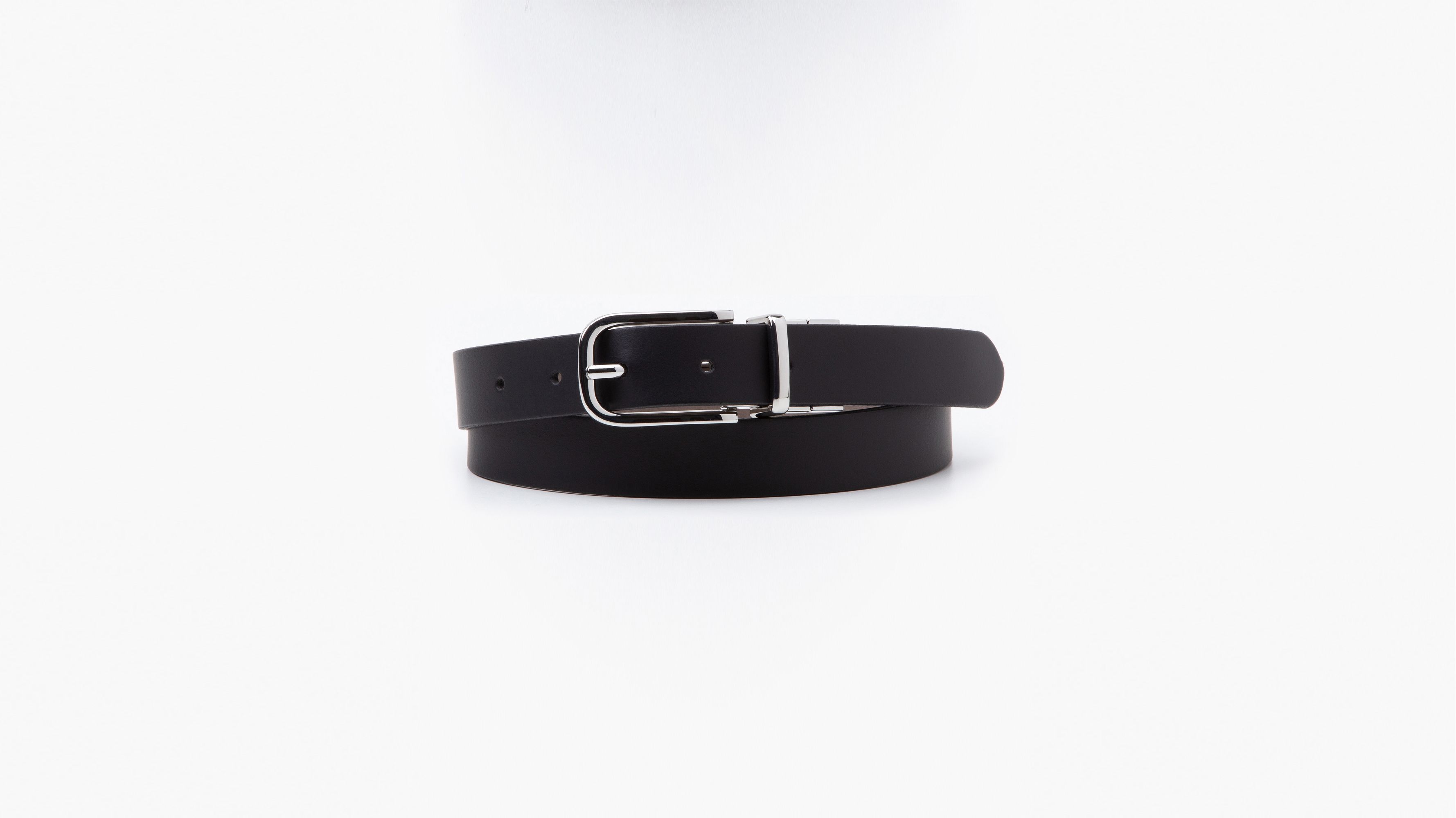 Reversible Belt 2