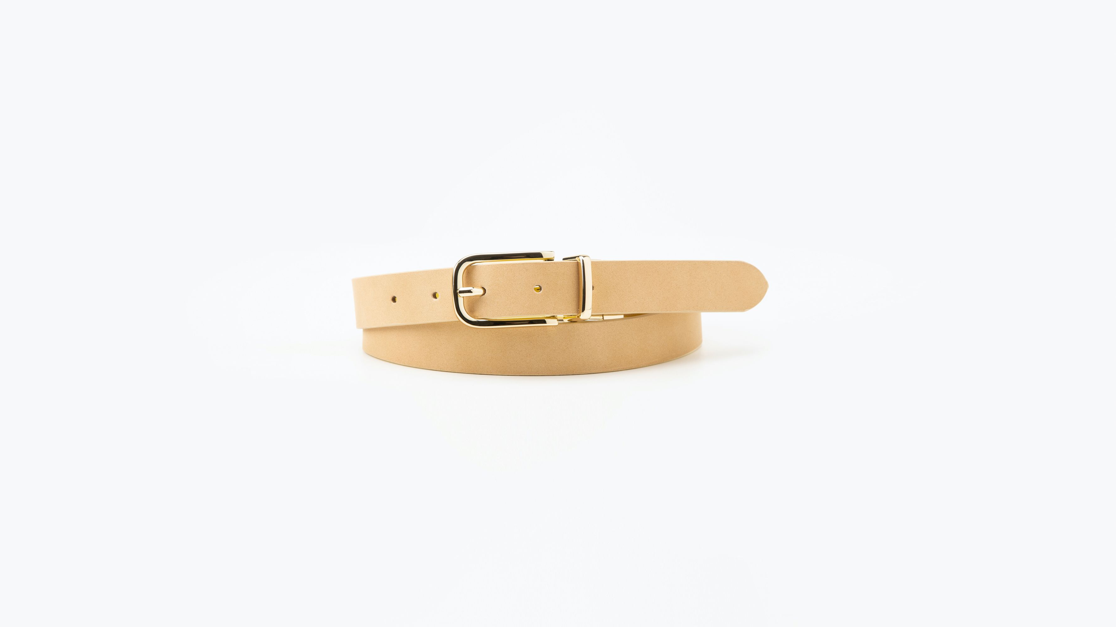 Reversible Belt 1