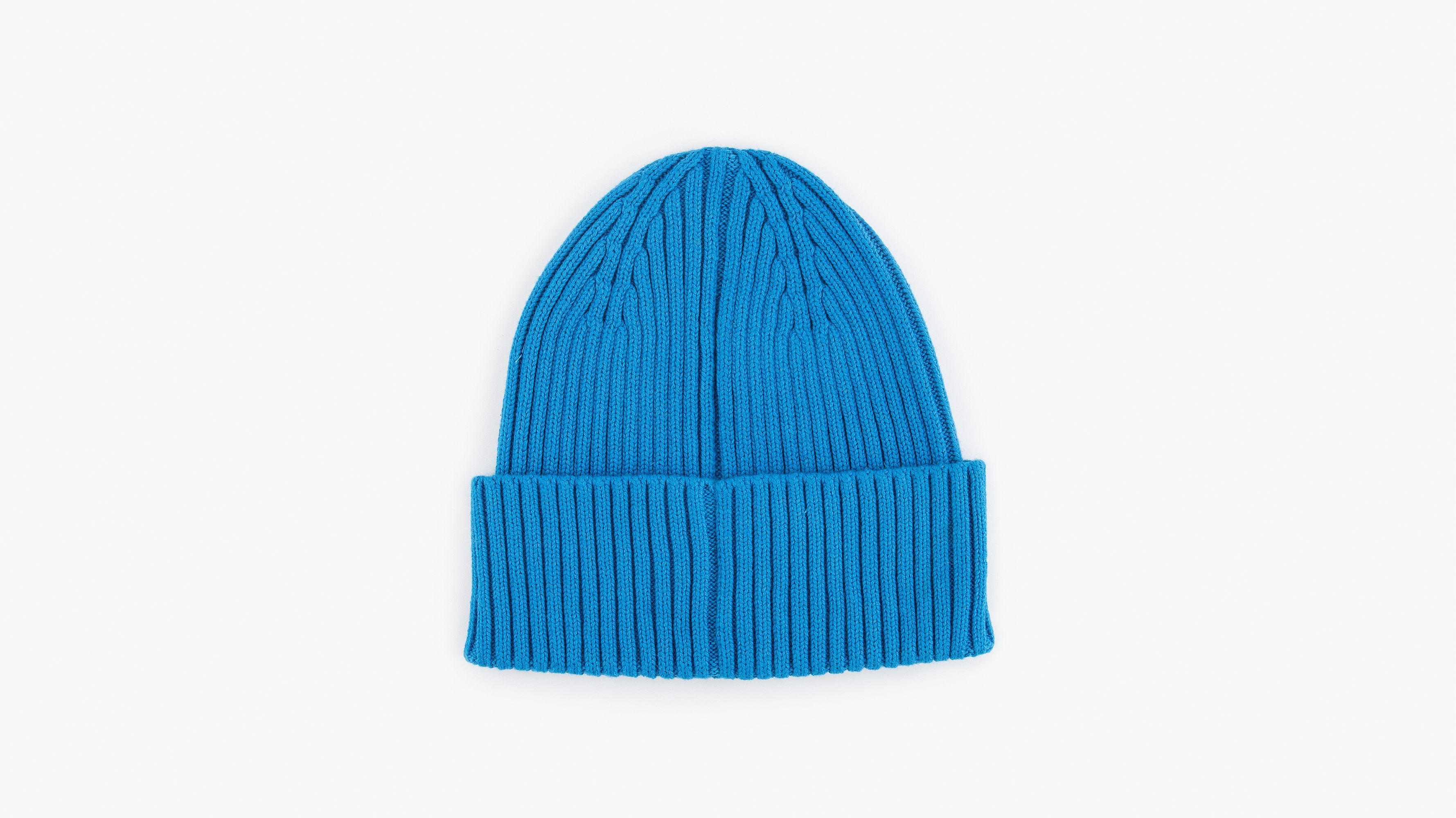 Poster Logo Beanie Blue Levi's® US