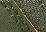 Dark Khaki - Khaki