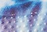 Shibori - Multicolore - Crocs Classiques Levi'sMD x Crocs(MC)