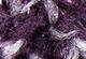 Dark Purple - Purple - Textured Holiday Beanie