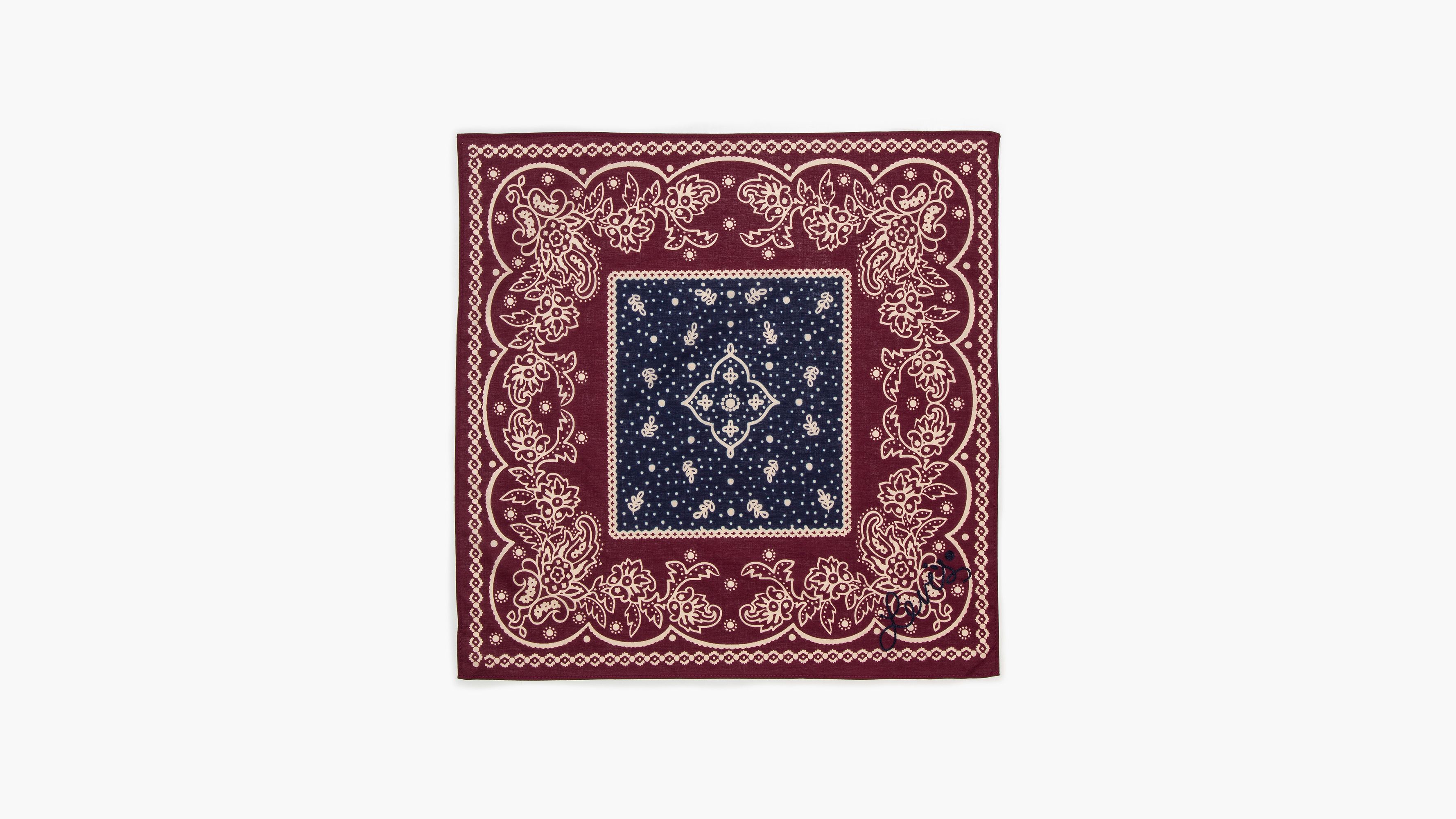 Bandana Elevated Paisley 3