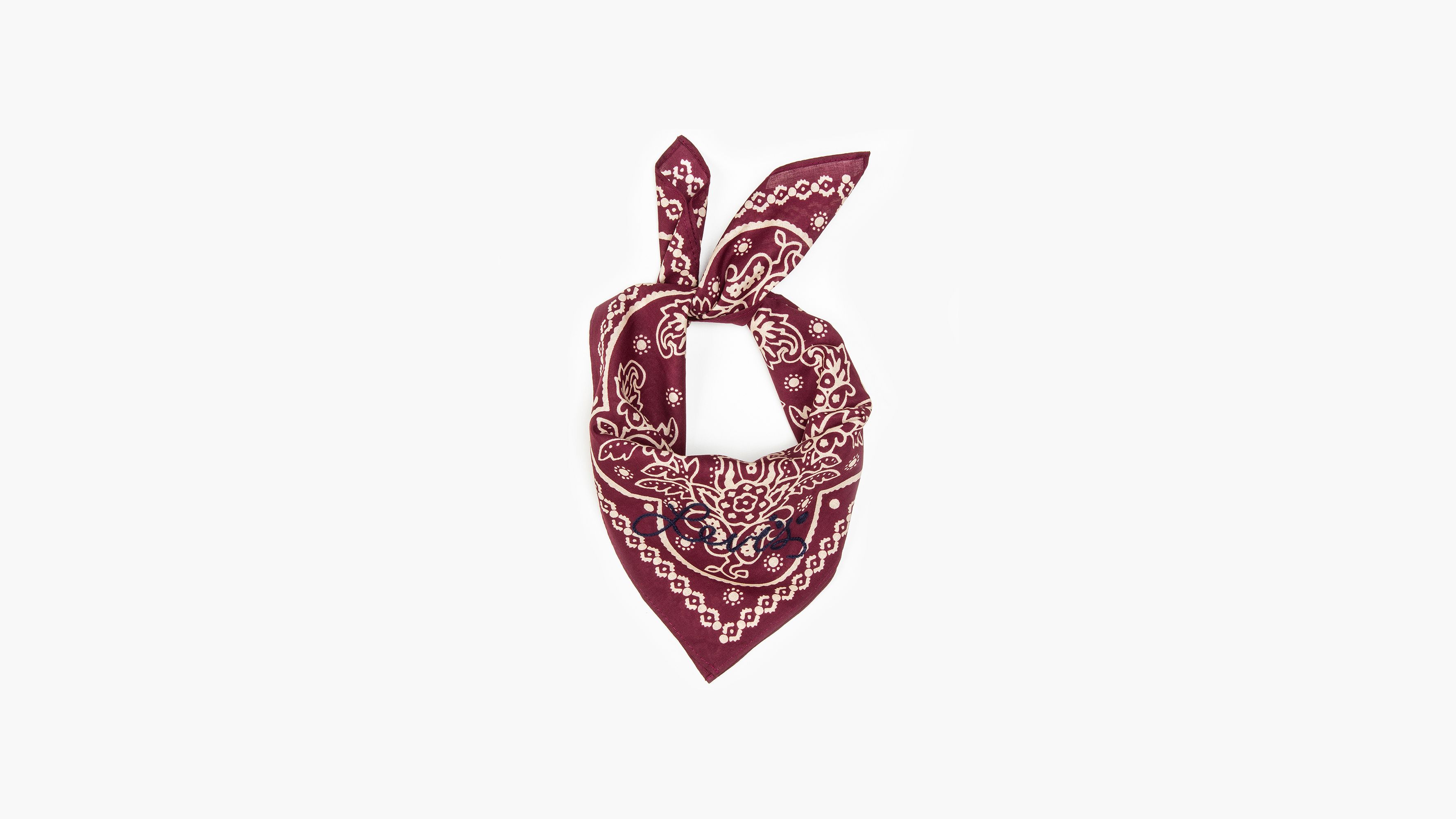Elevated Paisley Bandana 2