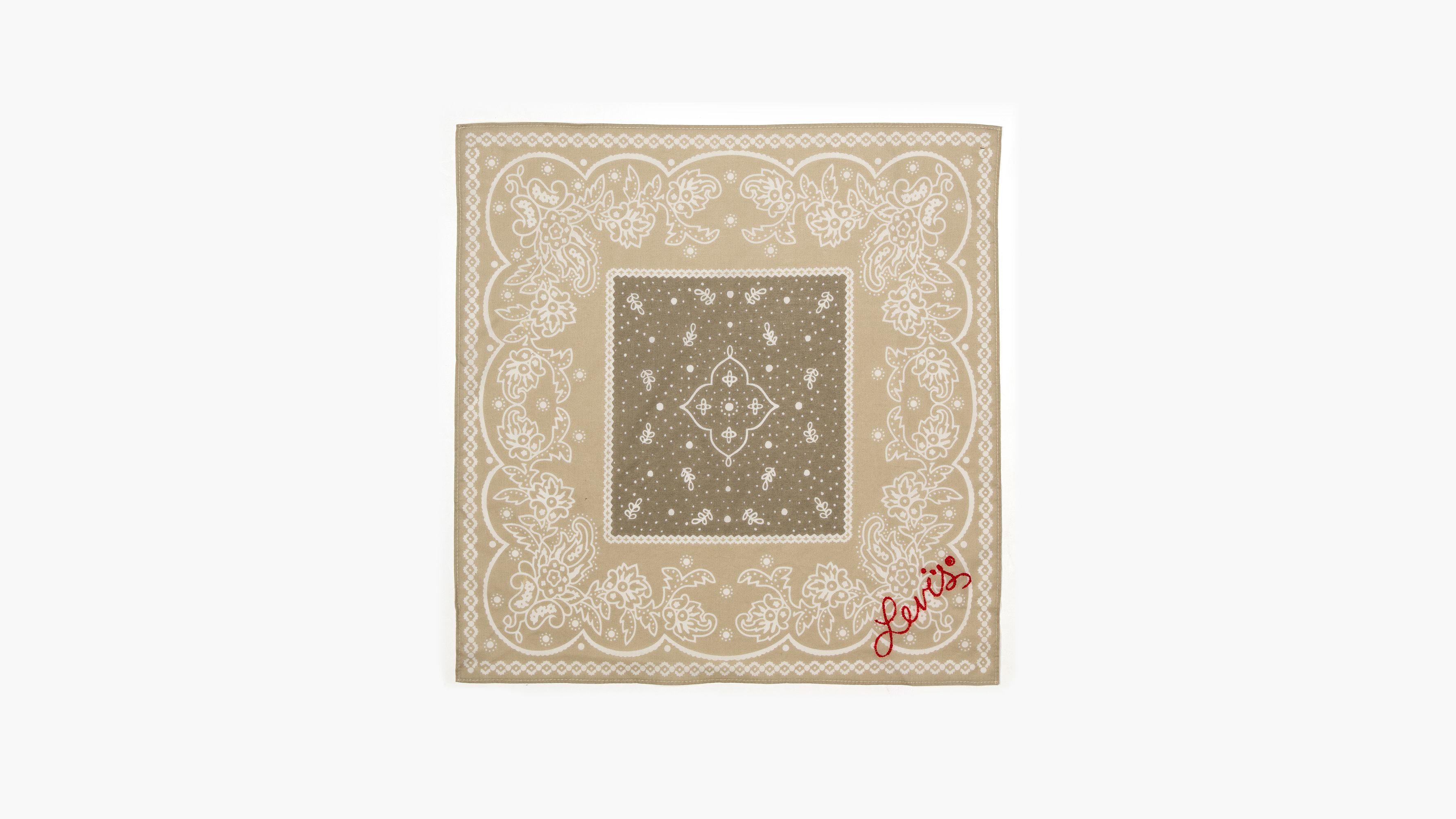 Elevated Paisley Bandana 2