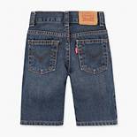 Boys 8-20 505™ Regular Fit Shorts 2