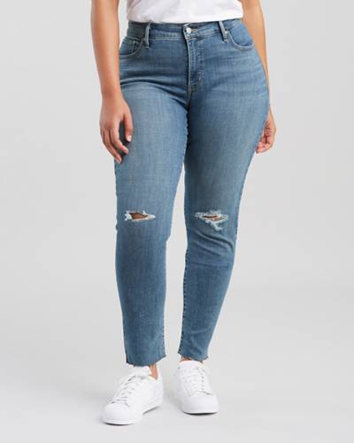 311 Shaping Skinny (Plus Size) 1