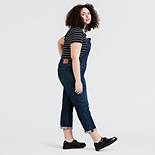 Overall (Plus Size) 2