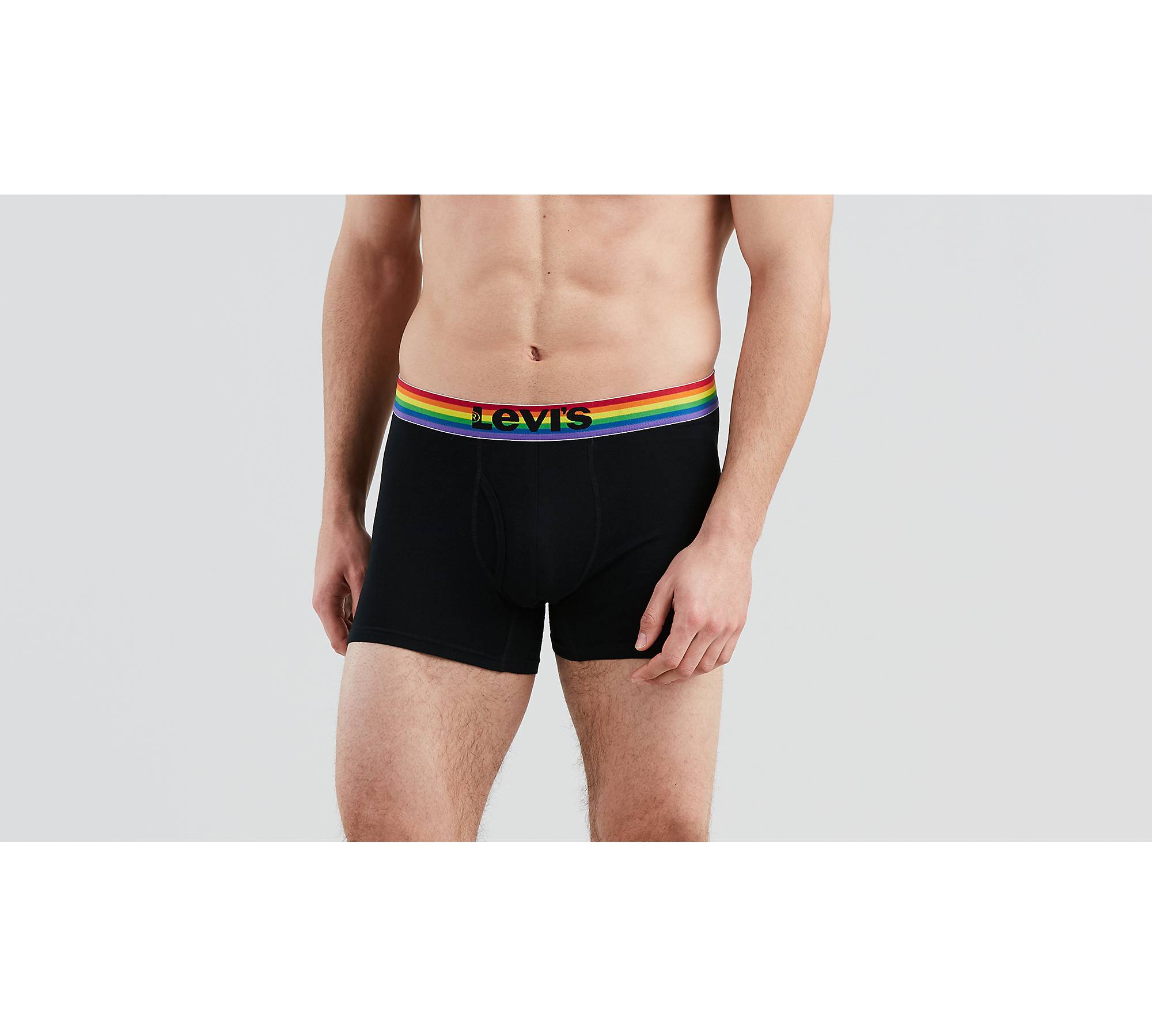 Gay Pride LGBT Men's Underwear Soft Low Rise Briefs Stretch Trunks  Underpants