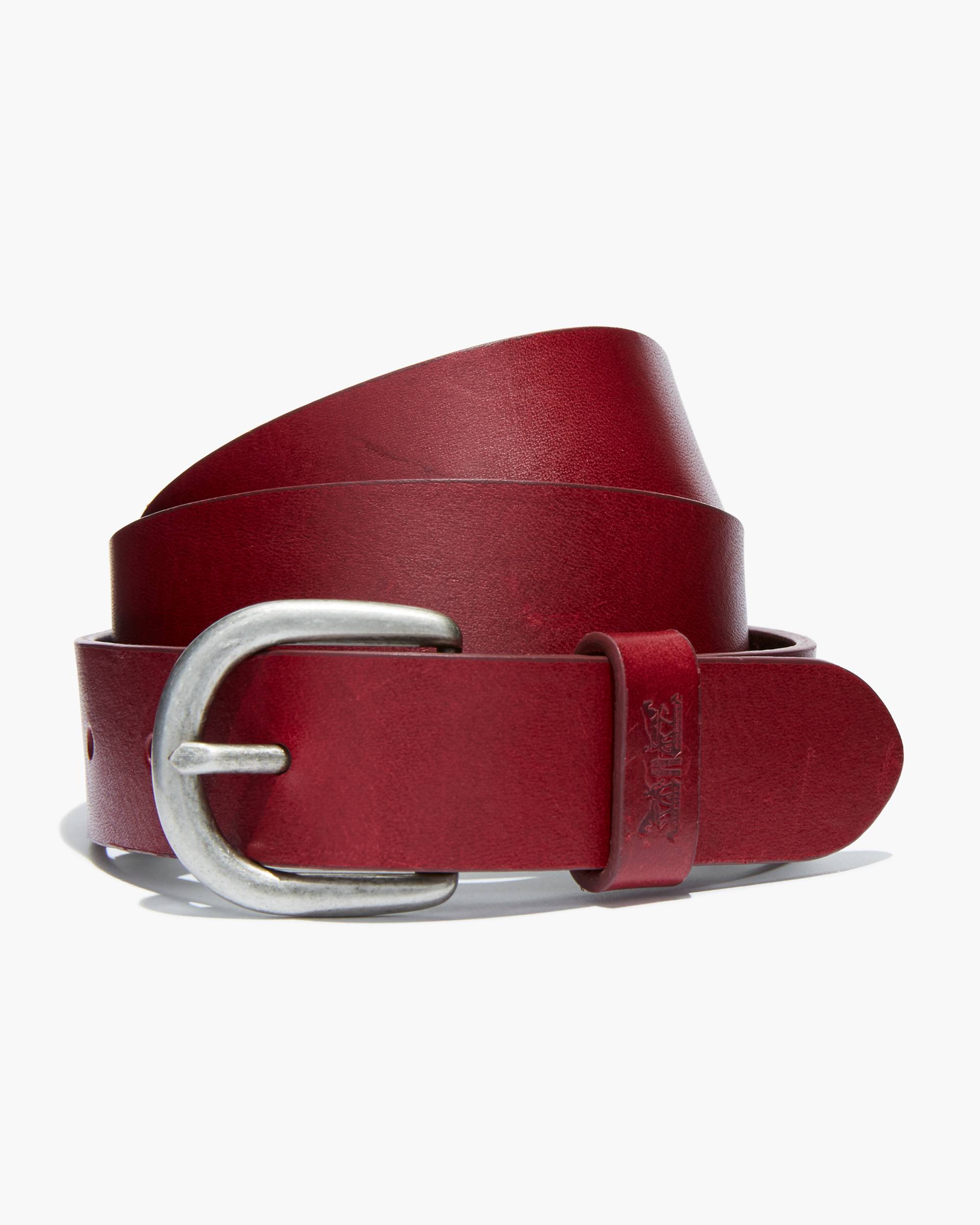 Classic Icon Belt 1