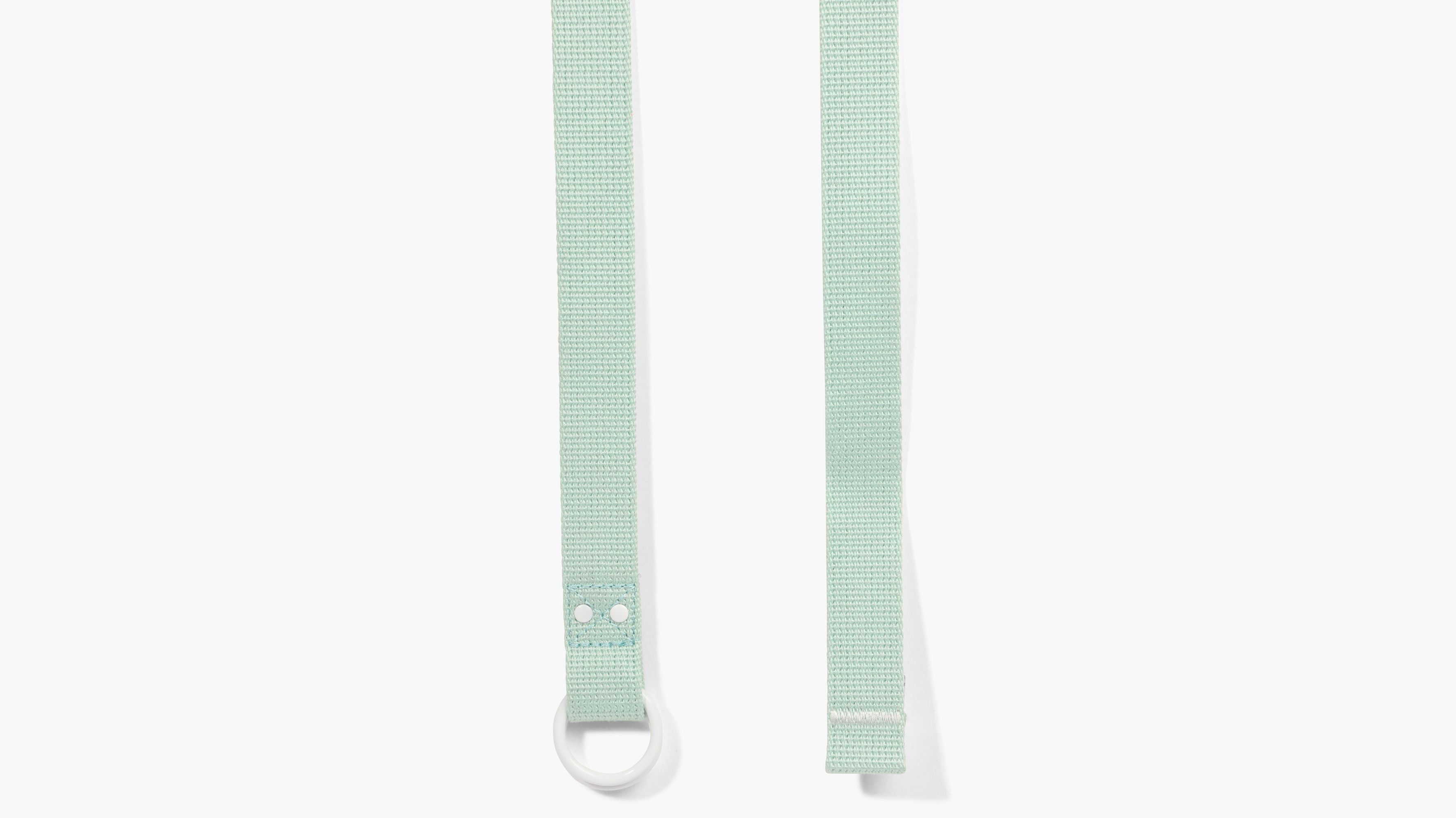 Summer Web Belt 3