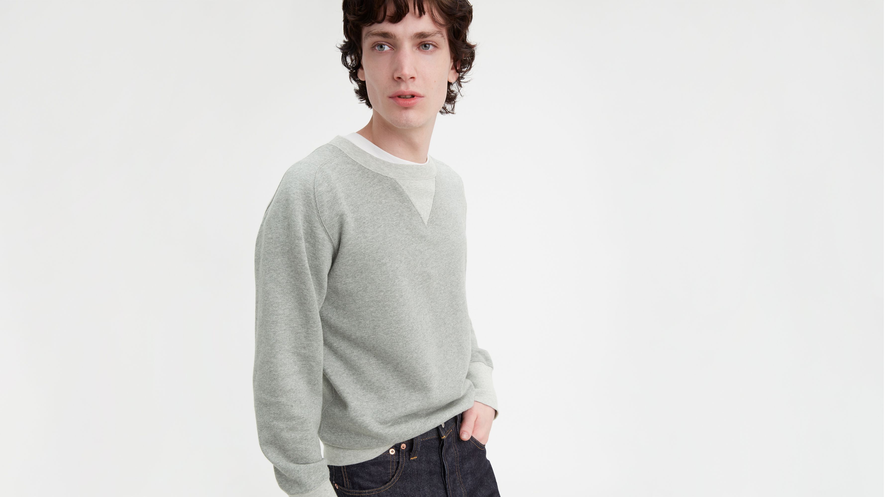 Levi's bay best sale meadows sweatshirt