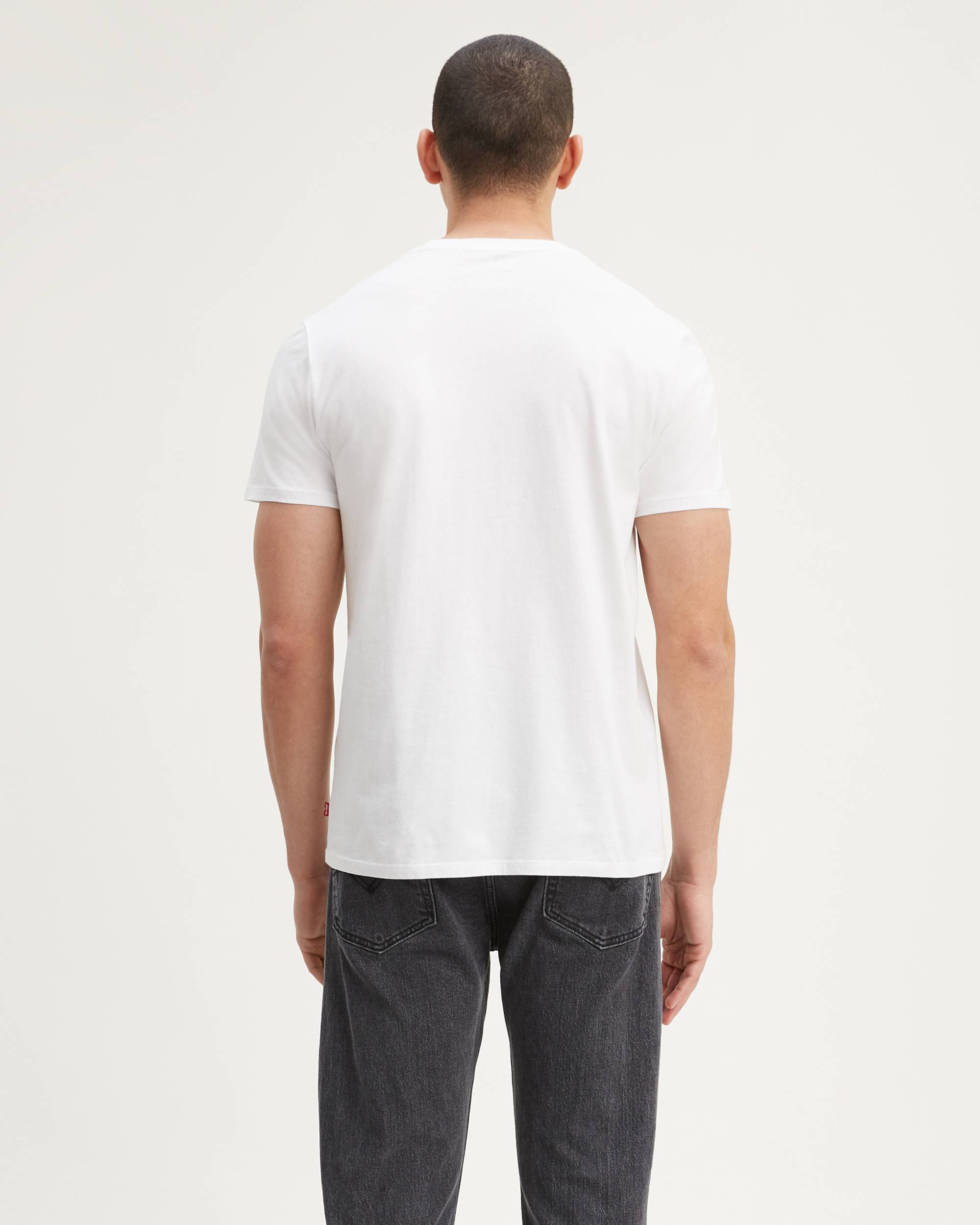 Two-Horse Pull Graphic Tee Shirt 2