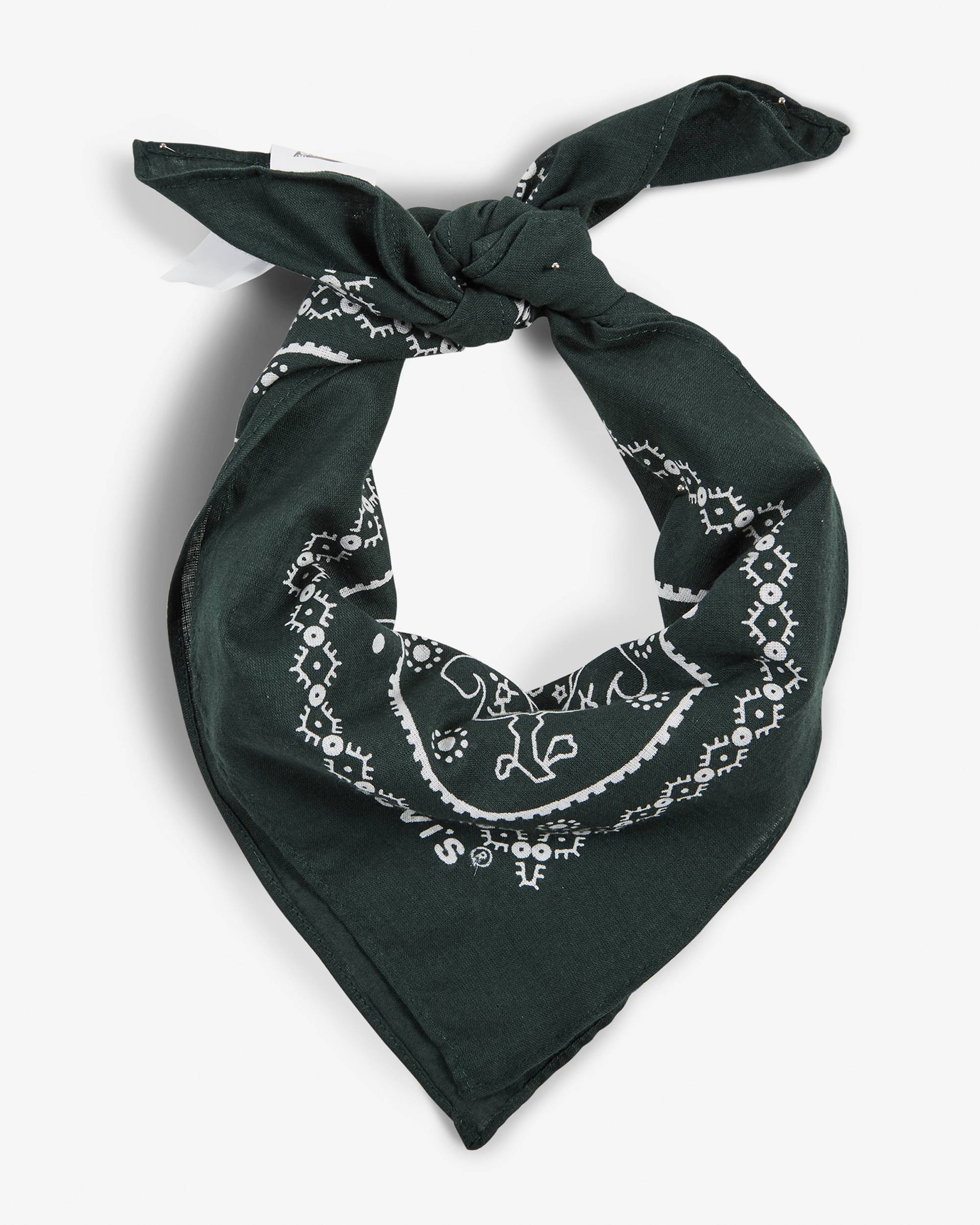 Paisley Bandana 3
