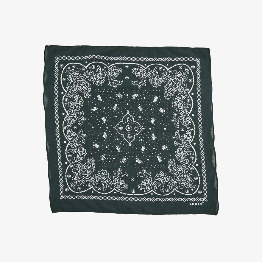 Paisley Bandana 1