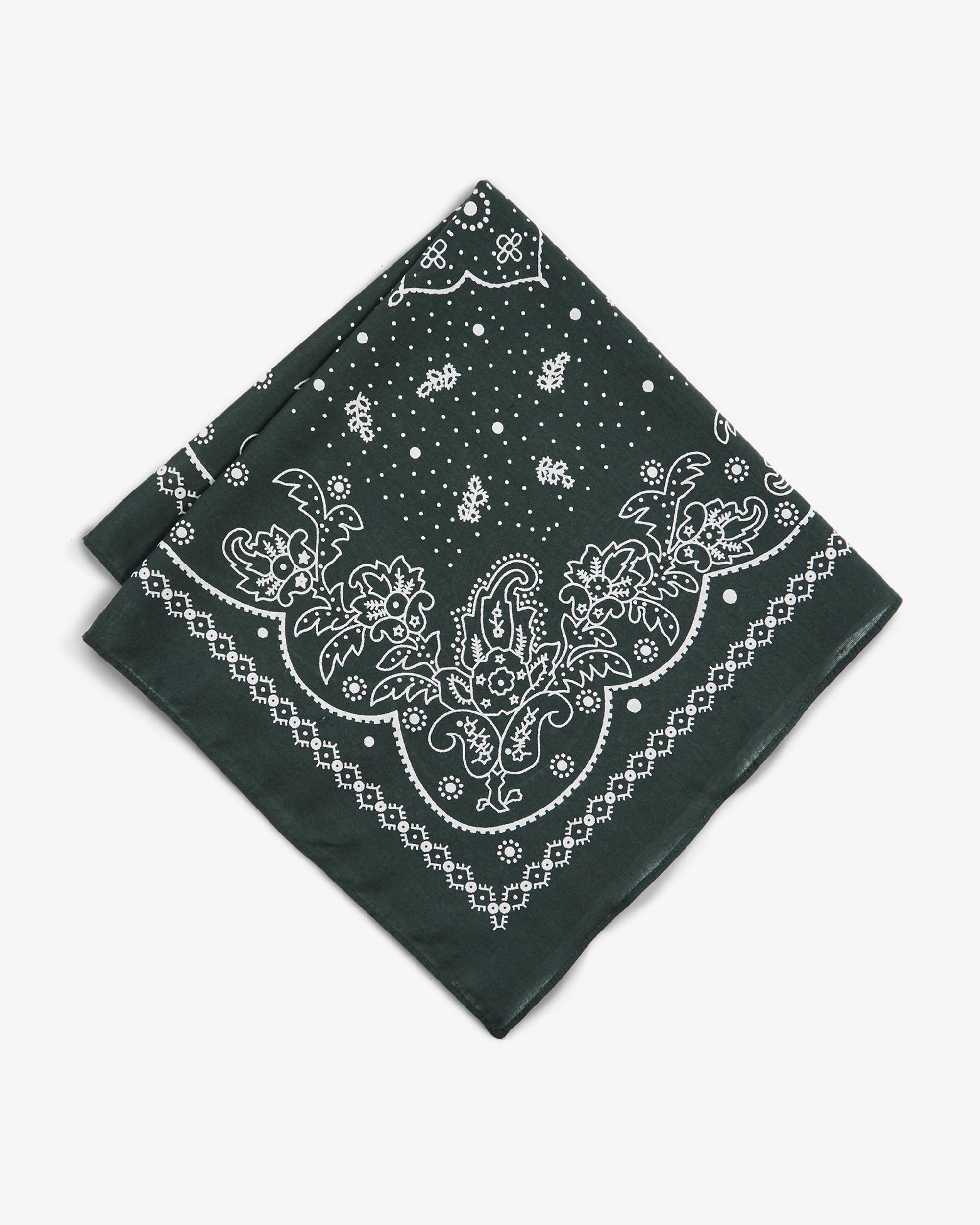 Paisley Bandana 2