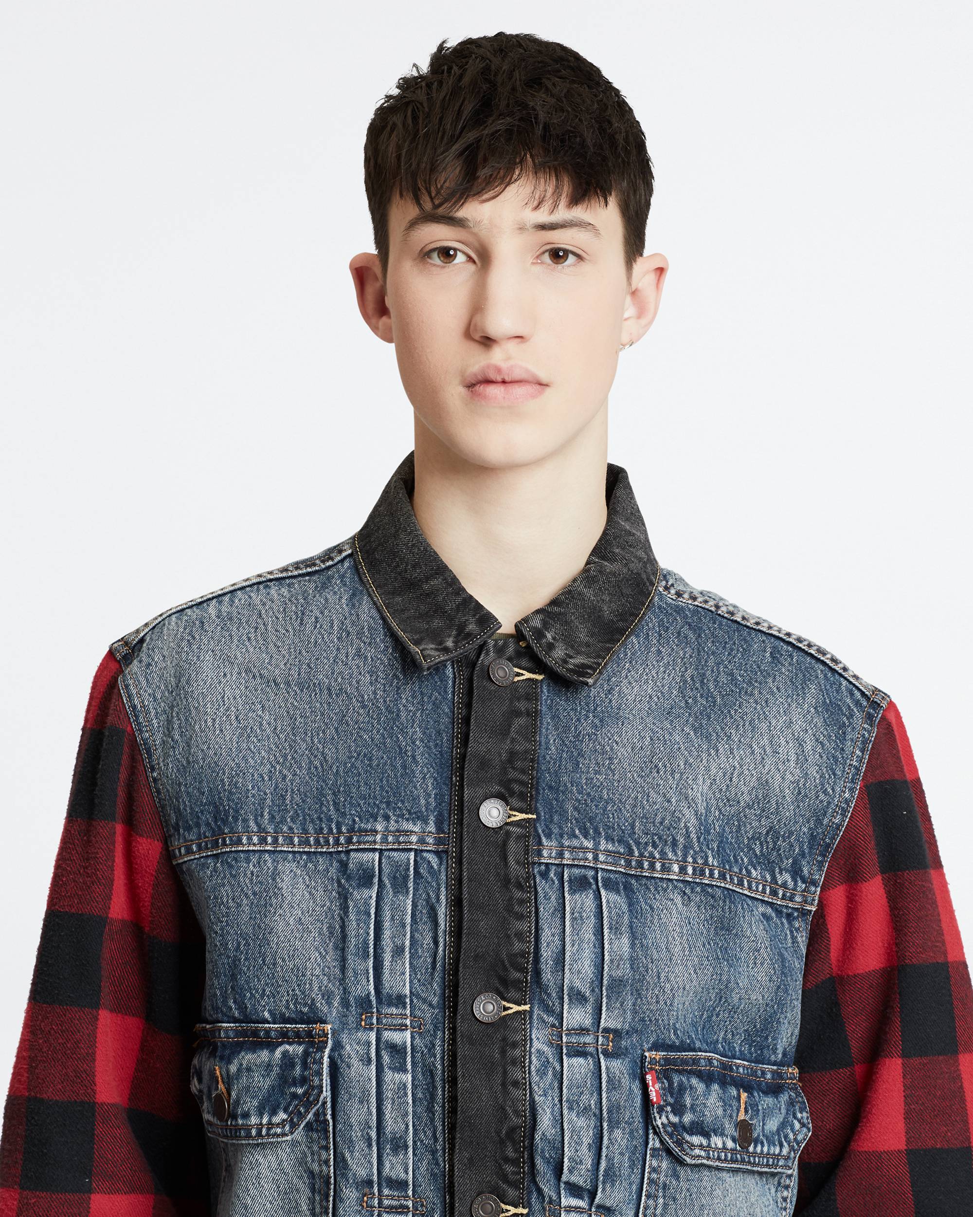 Type 2 Hybrid Trucker 3